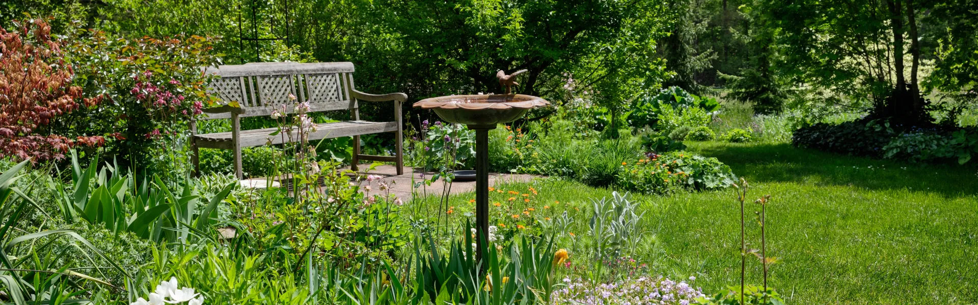 slow jardinage