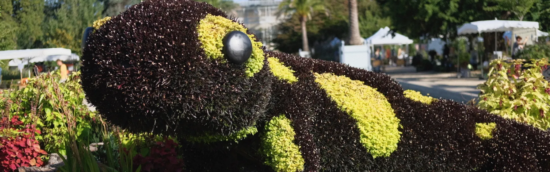 VIDÉO. Graines de jardin à Rouen : « Le festival est un moment magique » -  Paris-Normandie