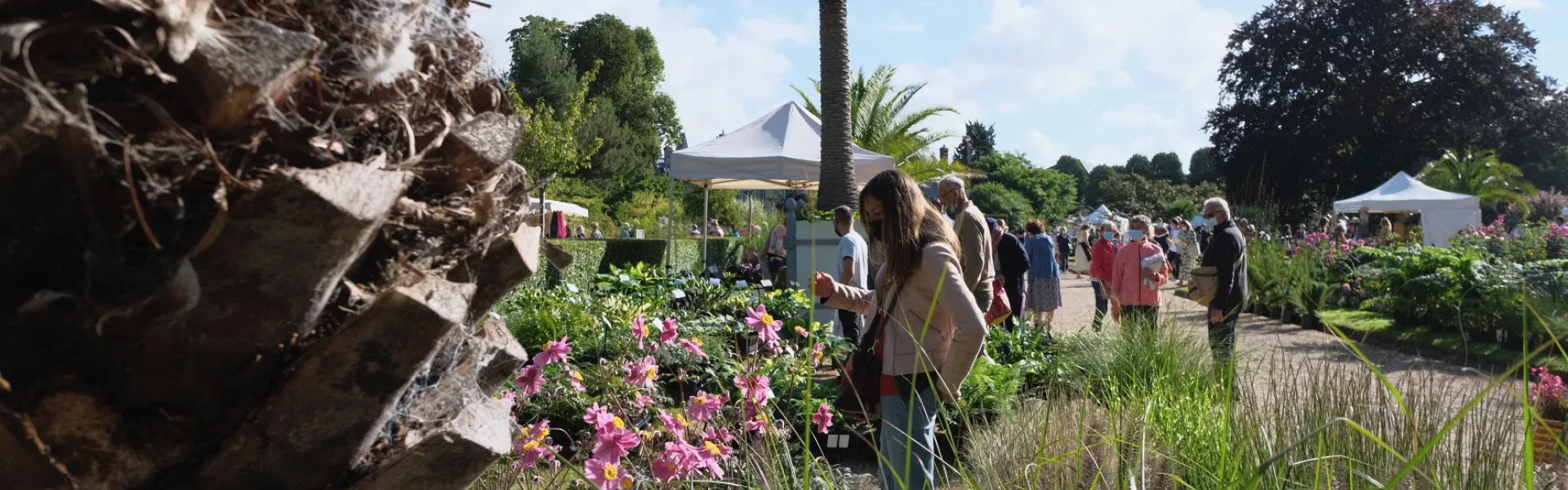 Festival Graines de jardin : 90 000 mains vertes attendues à Rouen, pendant  deux jours