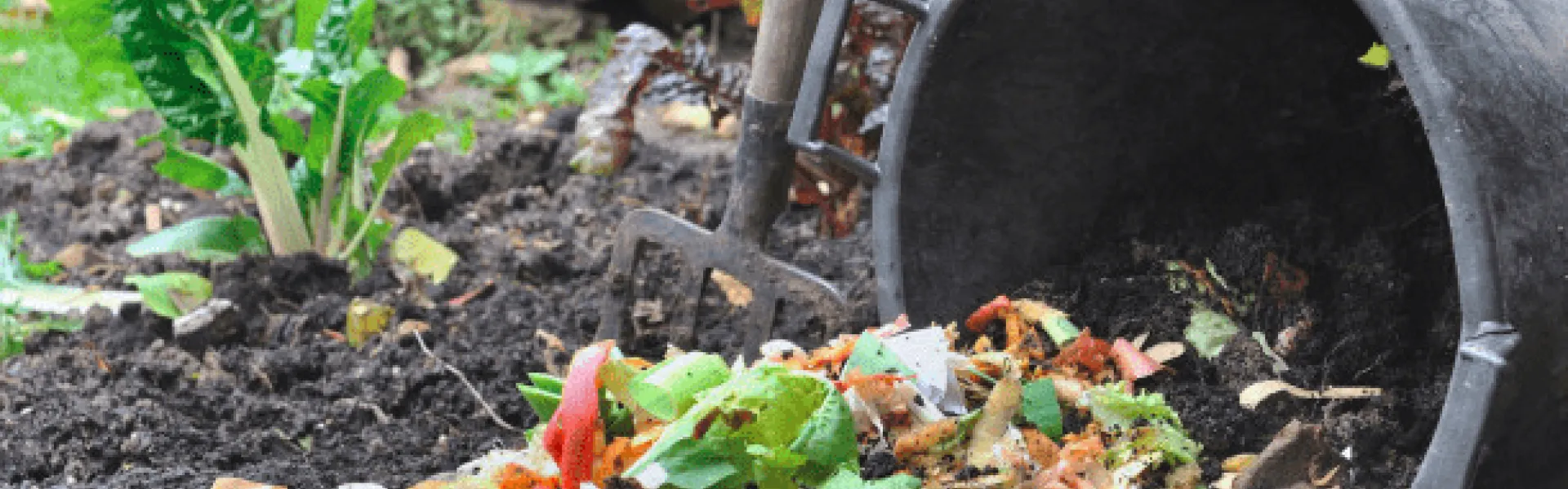 poubelle de compostage