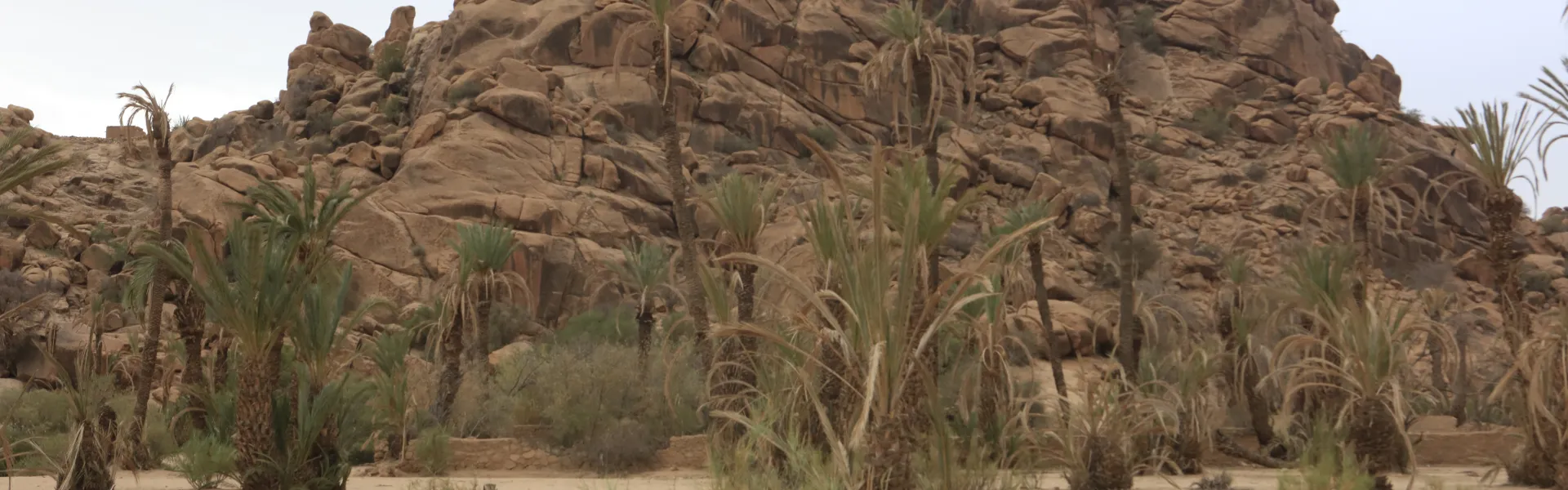 Subtropical Hautes Terres