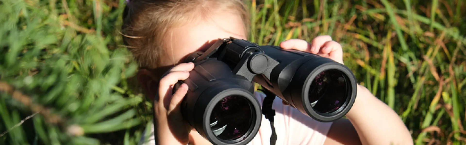 Petite fille utilisant des jumelles dans la forêt. Explorer le monde. 