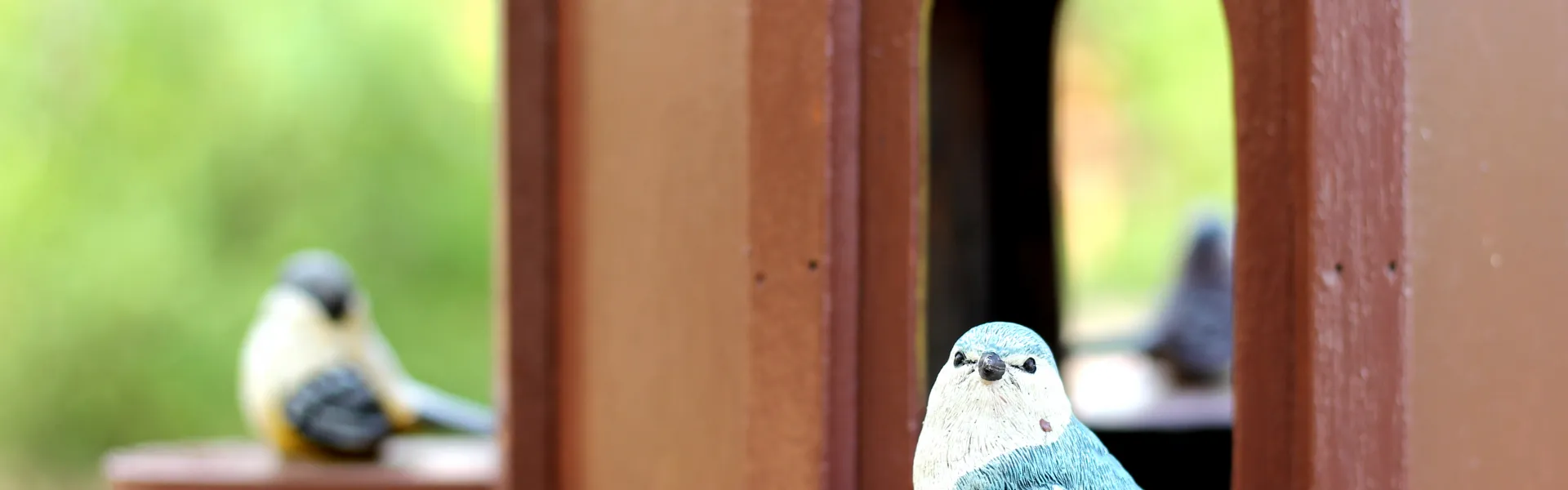 oiseau