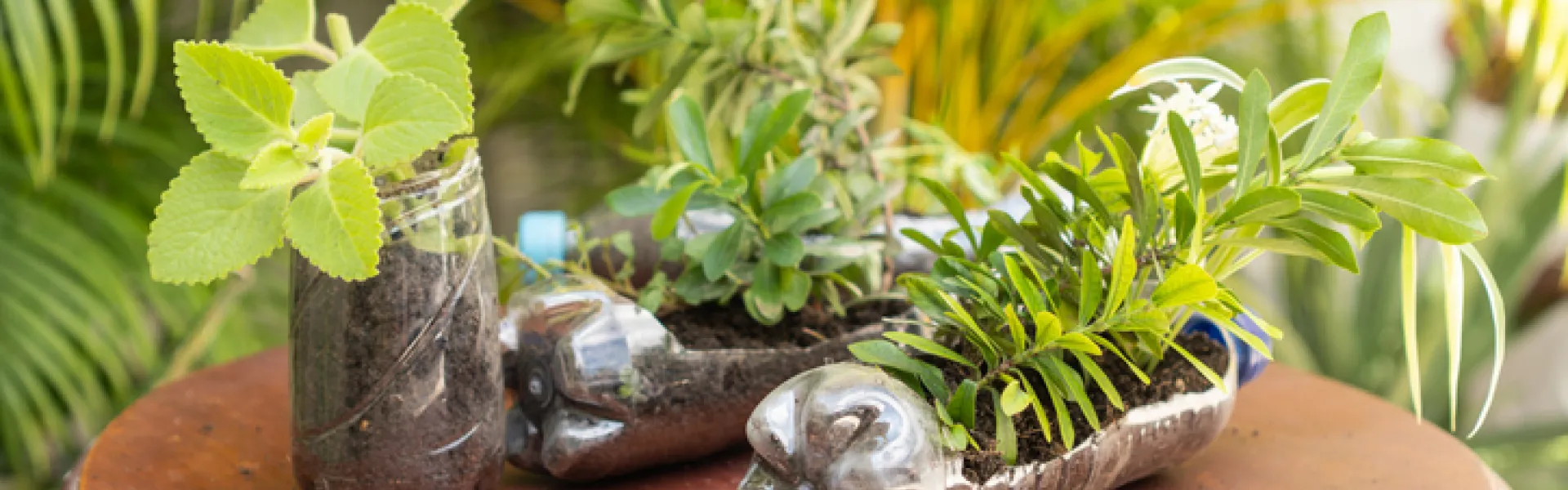 Caches pots