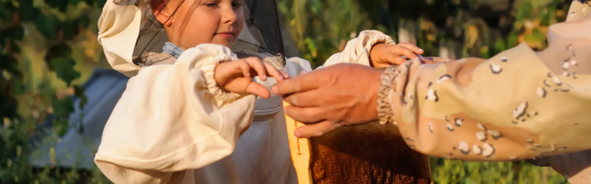 Petit garçon apiculteur travaille sur une ruche