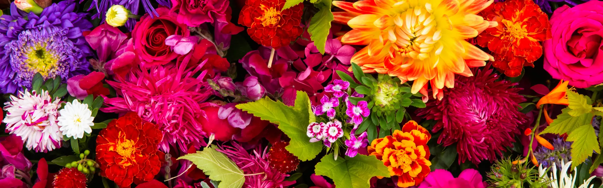 fleurs