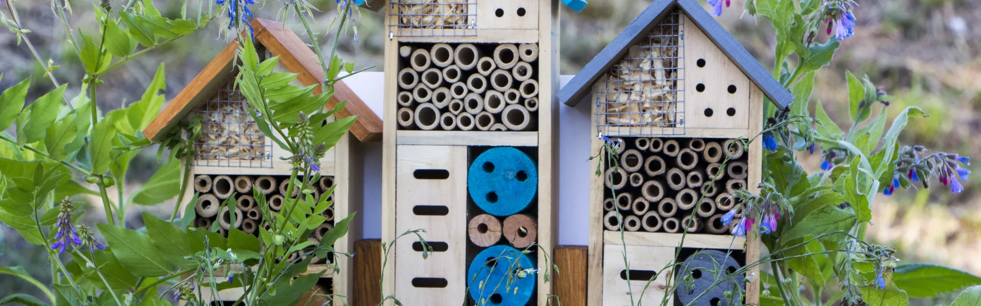 Hôtel à insectes : une place pour chacun