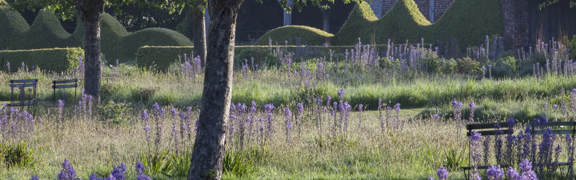 Jardin Plume 