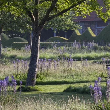 Jardin Plume 